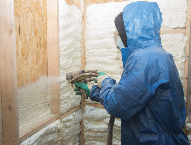 Best Insulation for Existing Homes  in USA